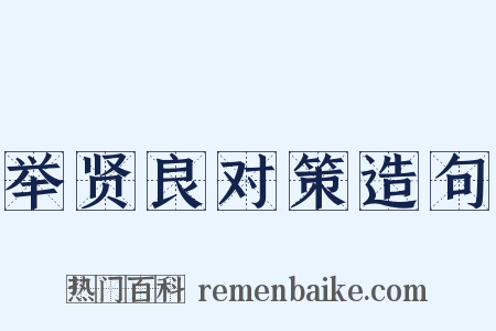 举贤良对策造句是什么意思的图片